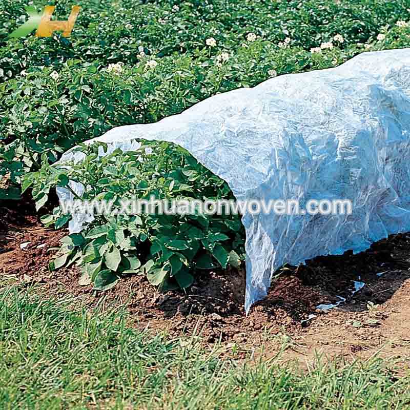 agriculture non woven fabric factory