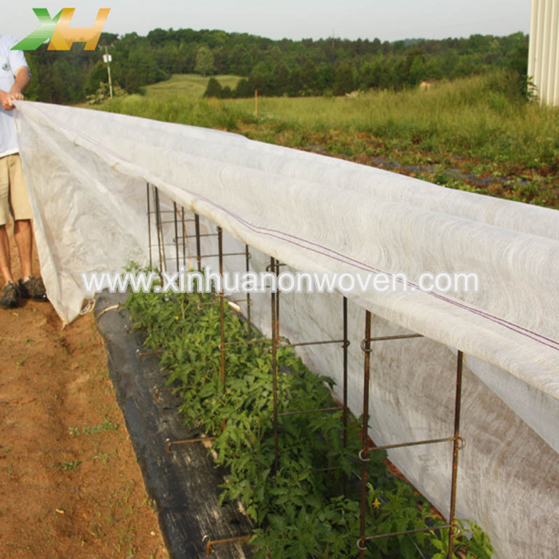 Mengapa pertanian menggunakan kain non-anyaman?